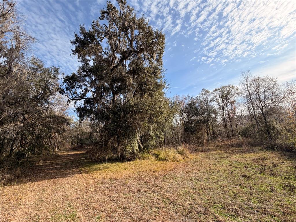 765 Sloans Ridge Road Groveland, FL 34736 - Photo 51 of 62