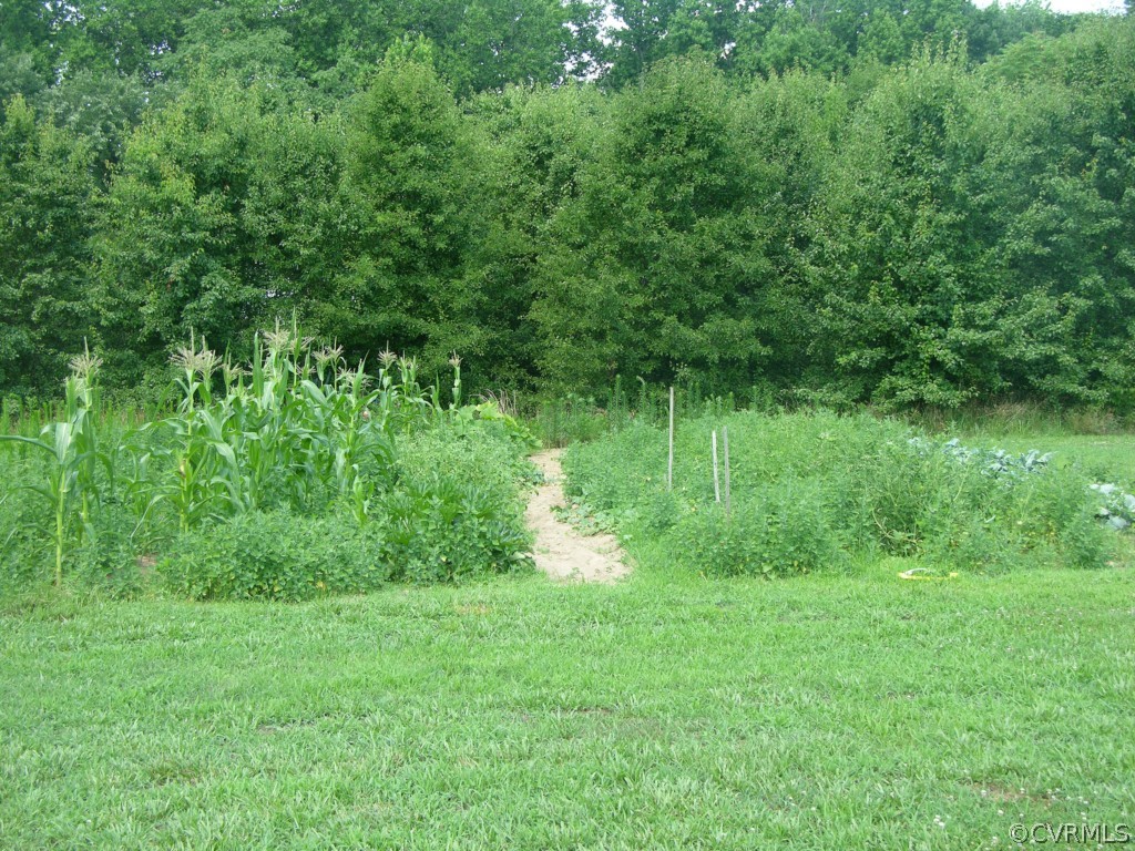 5120 Hart Road Sutherland, VA 23885 - Photo 8 of 15 Gallery Image 8