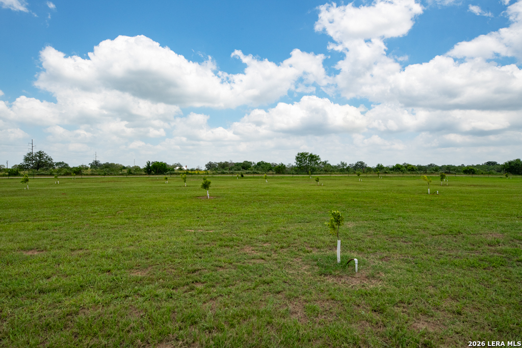 1393 Fox Trotter Road Seguin, TX 78155 - Photo 24 of 46