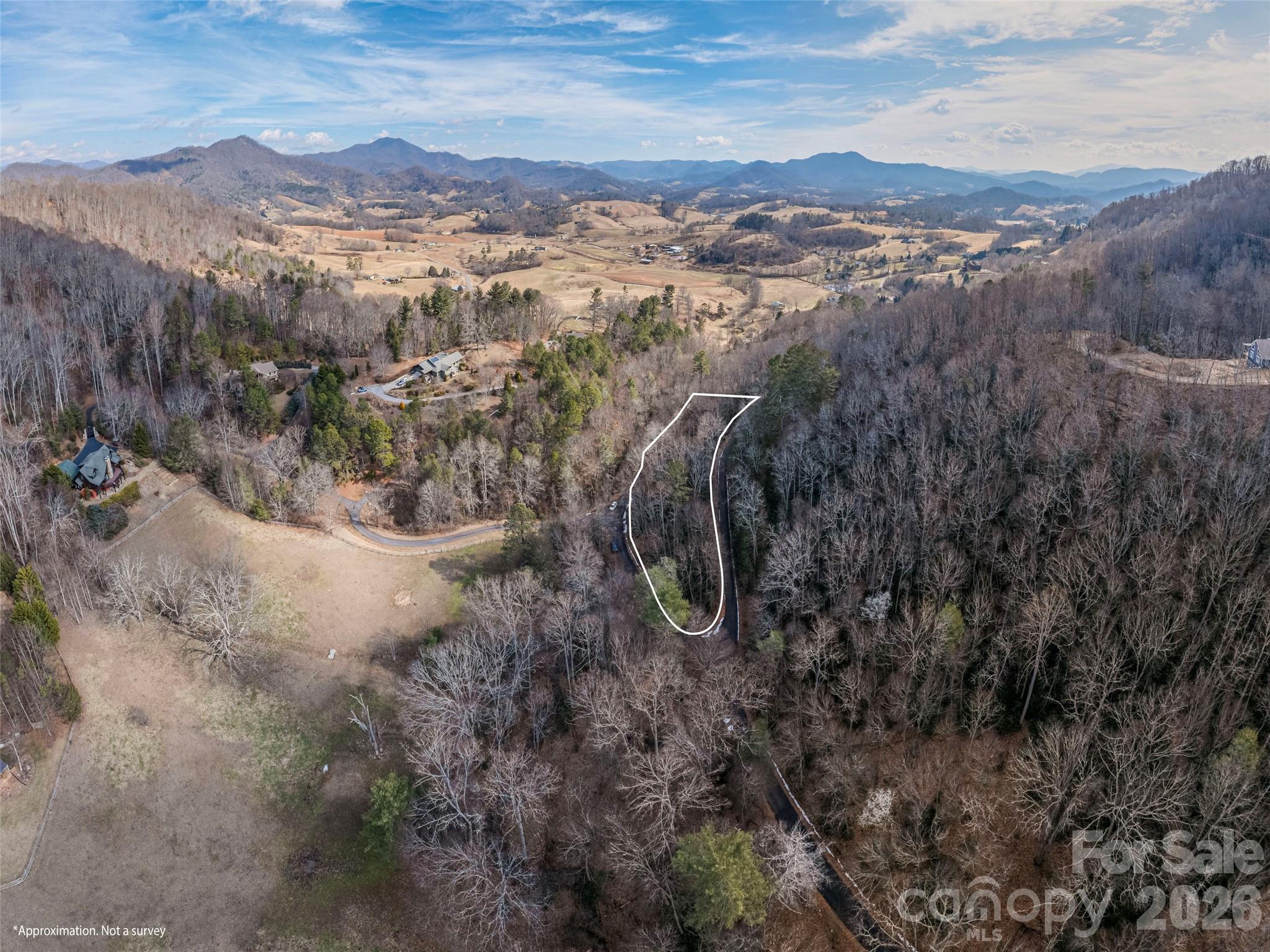 0 Coyote Hollow Road Waynesville, NC 28785 - Photo 11 of 12