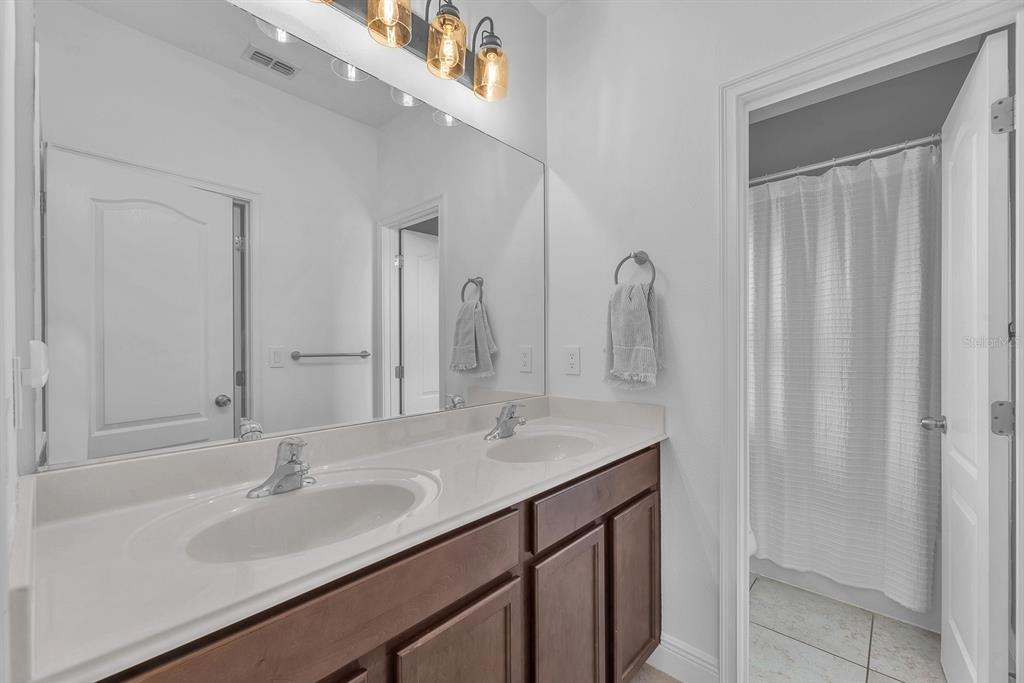5310 Fishhawk Ridge Drive Lithia, FL 33547 - Photo 29 of 52 a bathroom with a sink and a mirror