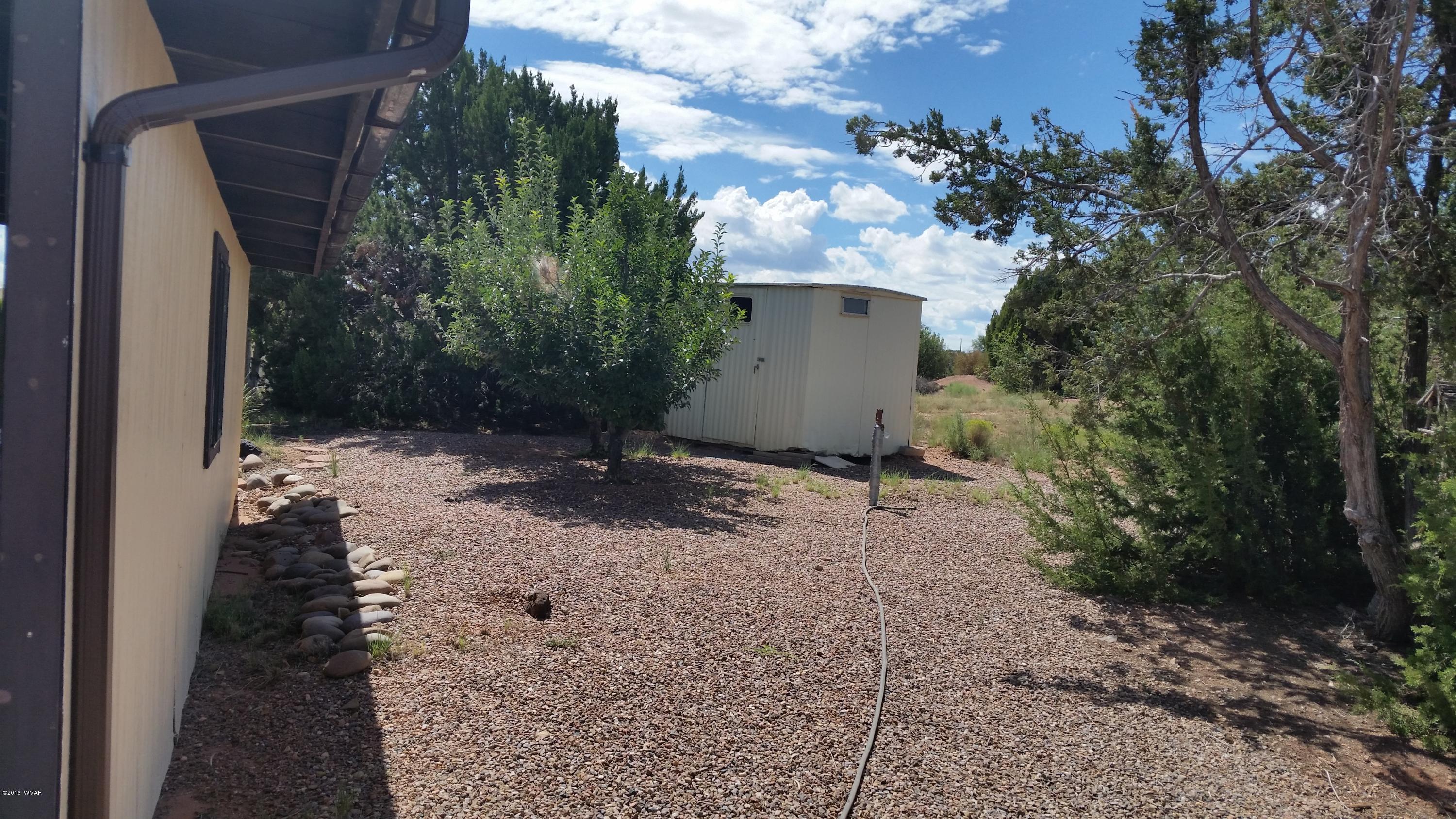 791 West 4th Street South Snowflake, AZ 85937 - Photo 35 of 46 a view of a house with a backyard