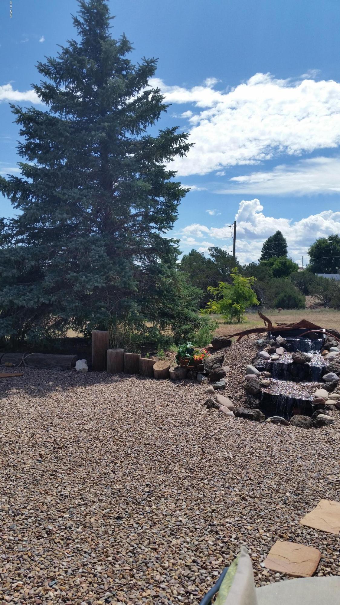 791 West 4th Street South Snowflake, AZ 85937 - Photo 39 of 46 a view of a backyard of the house