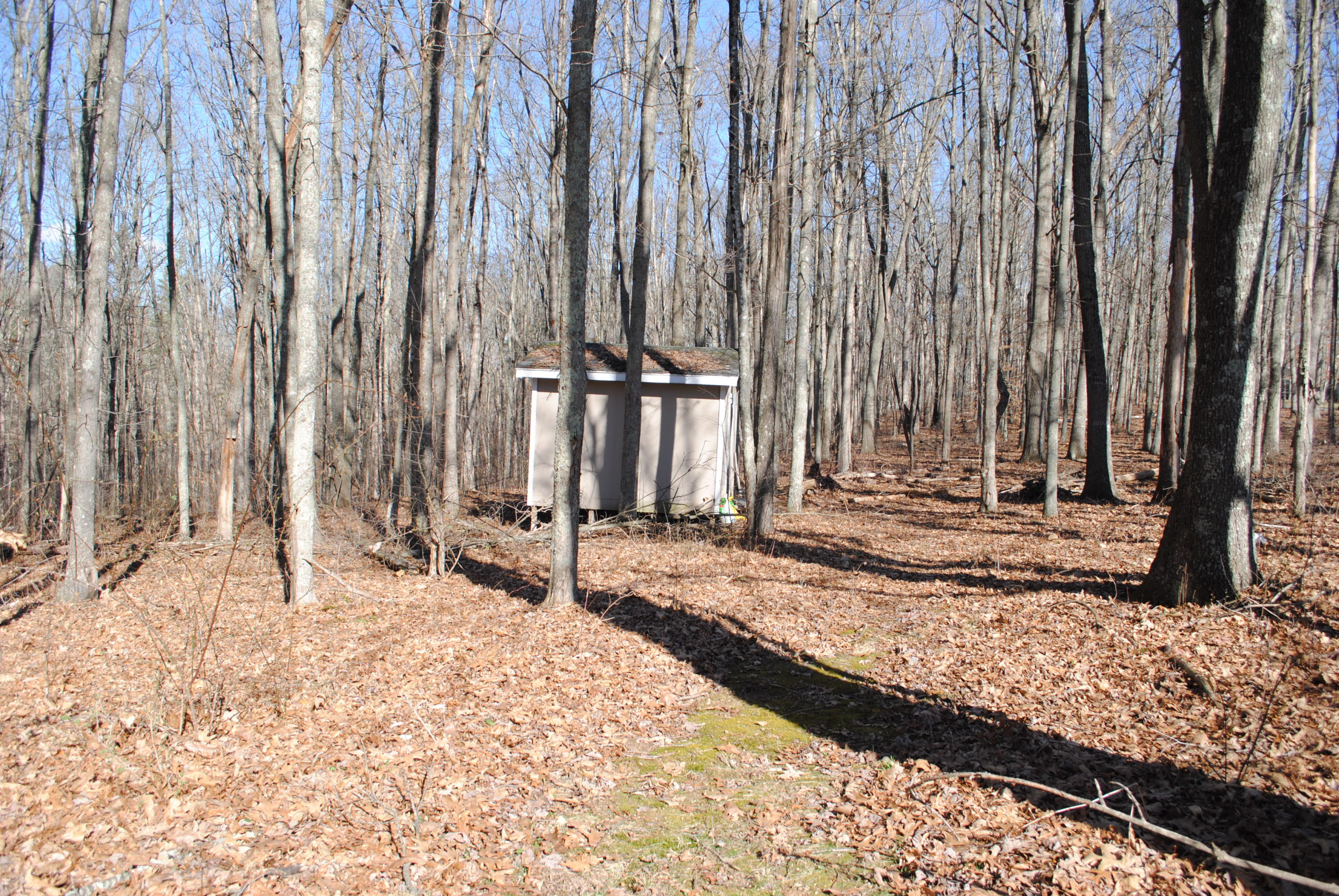 145 Hickory Ridge Maxwelton, WV 24957 - Photo 54 of 60 Gallery Image 54