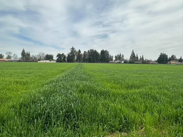 $2,800,000 | 3620 East Monte Vista Avenue, Denair, CA 95316