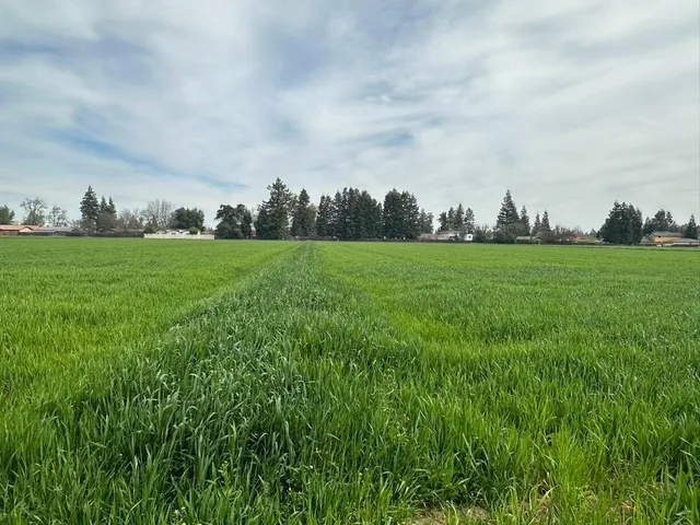 $2,800,000 | 3620 East Monte Vista Avenue, Denair, CA 95316