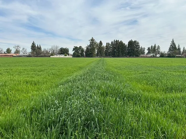 $2,800,000 | 3620 East Monte Vista Avenue, Denair, CA 95316