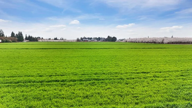 $2,800,000 | 3620 East Monte Vista Avenue, Denair, CA 95316