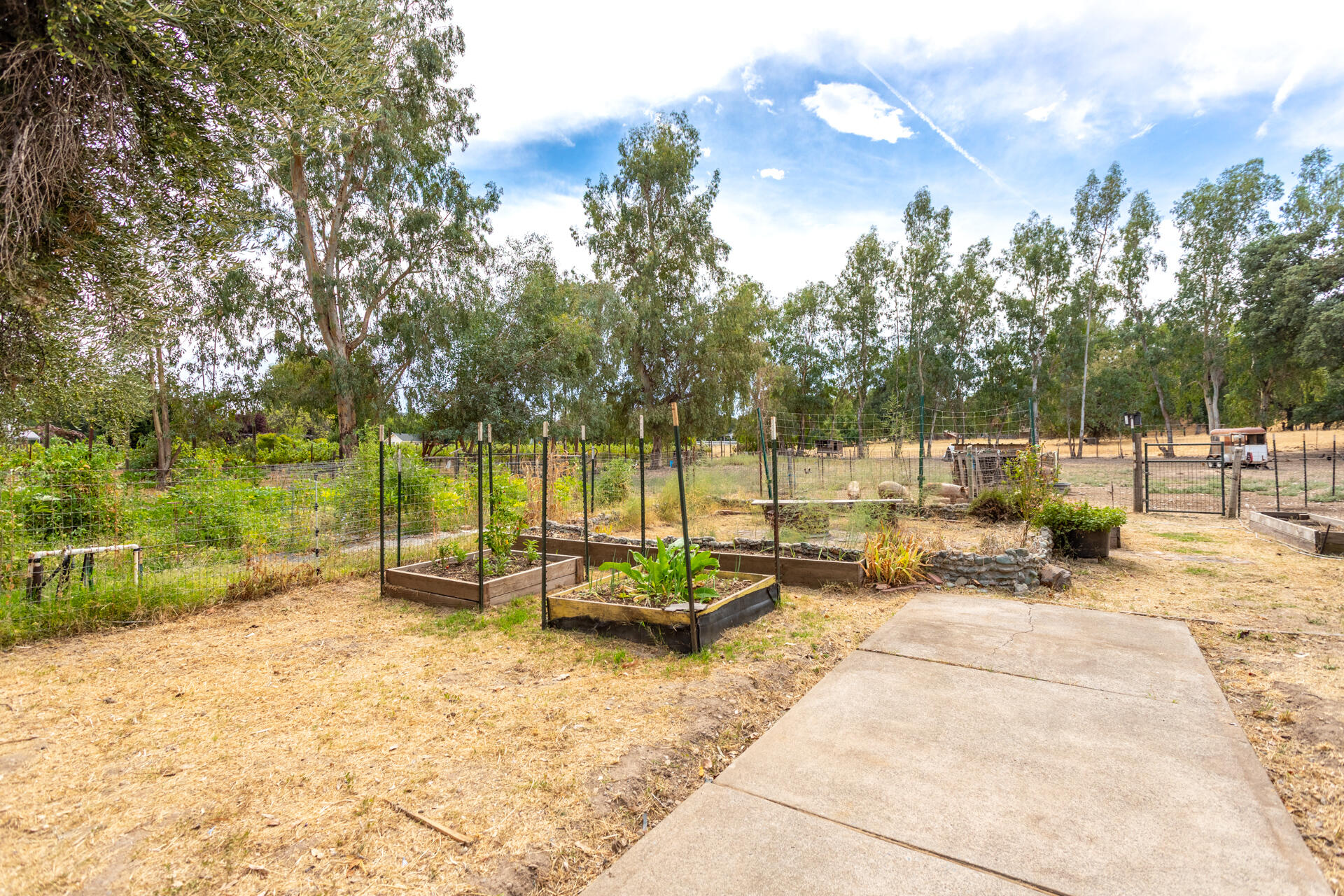 8132 Maynard Road Palo Cedro, CA 96073 - Photo 24 of 35 a view of backyard with swimming pool and seating space