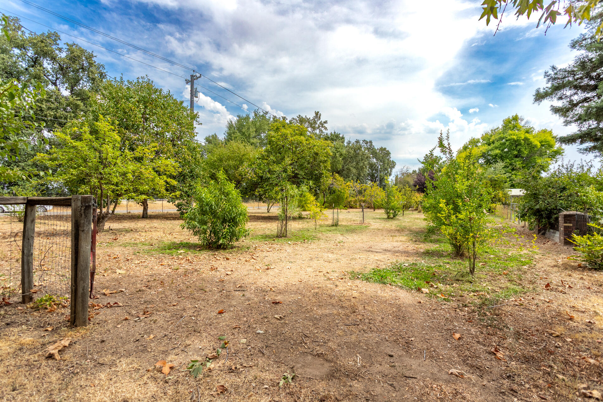 8132 Maynard Road Palo Cedro, CA 96073 - Photo 25 of 35 a view of yard with tree