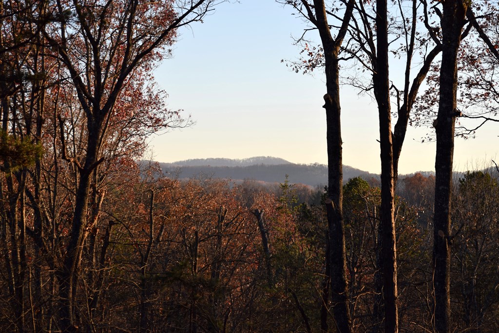 322 Ridge Brook Drive Morganton, GA 30560 - Photo 39 of 48 Gallery Image 39