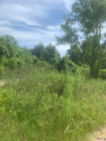 $210,000 | Tbd Allen Brown Lane, Jackson, LA 70748