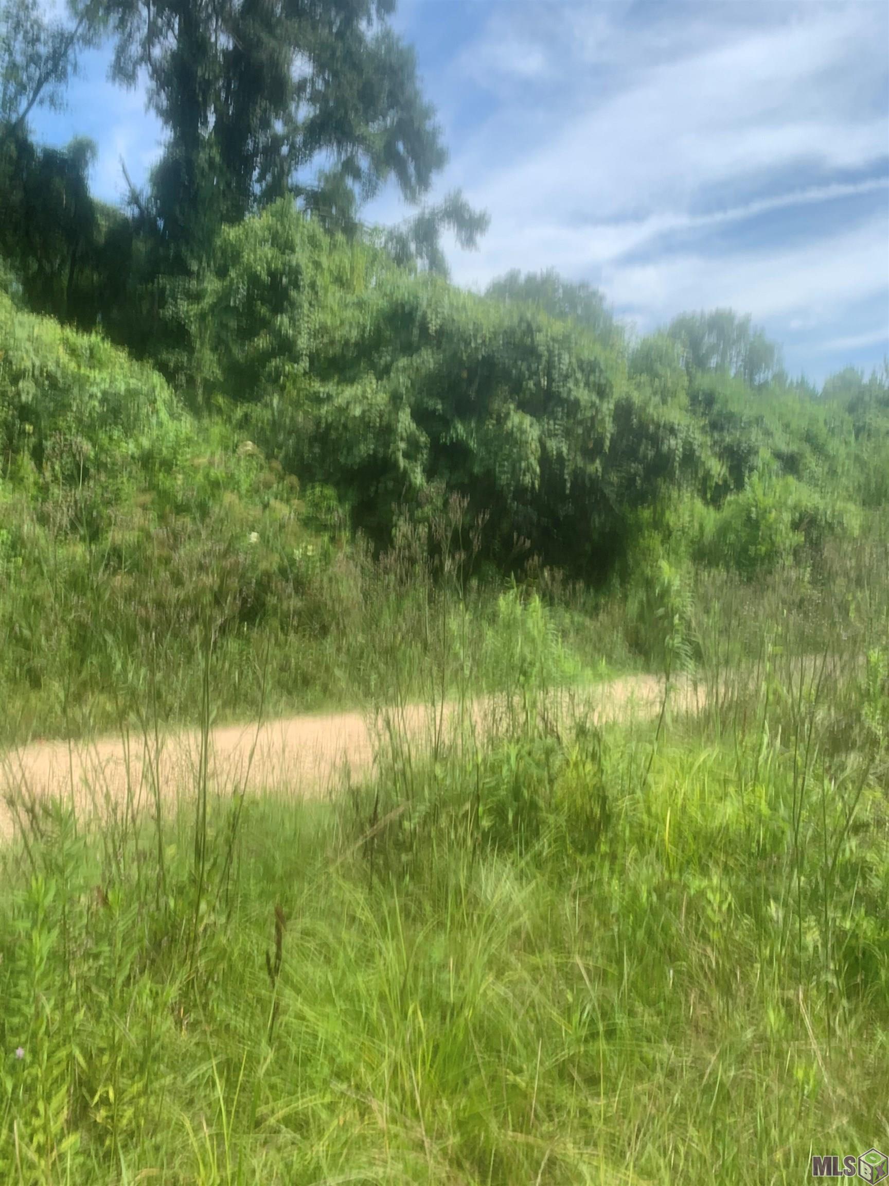 Tbd Allen Brown Lane Jackson, LA 70748 - Photo 2 of 5