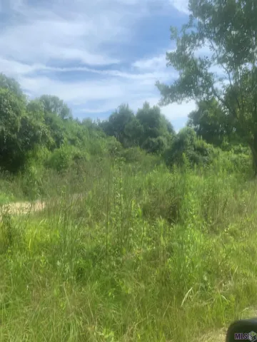 $210,000 | Tbd Allen Brown Lane, Jackson, LA 70748