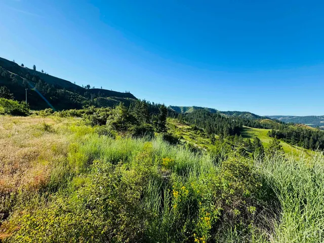 $160,000 | Tbd Lot #4 Beaverslide Road, Kamiah, ID 83536