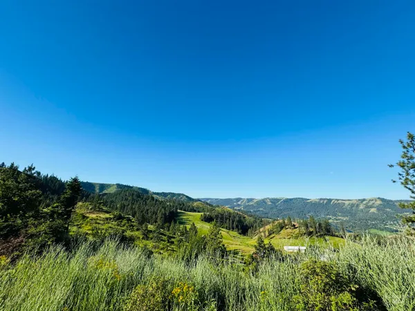 $160,000 | Tbd Lot #4 Beaverslide Road, Kamiah, ID 83536