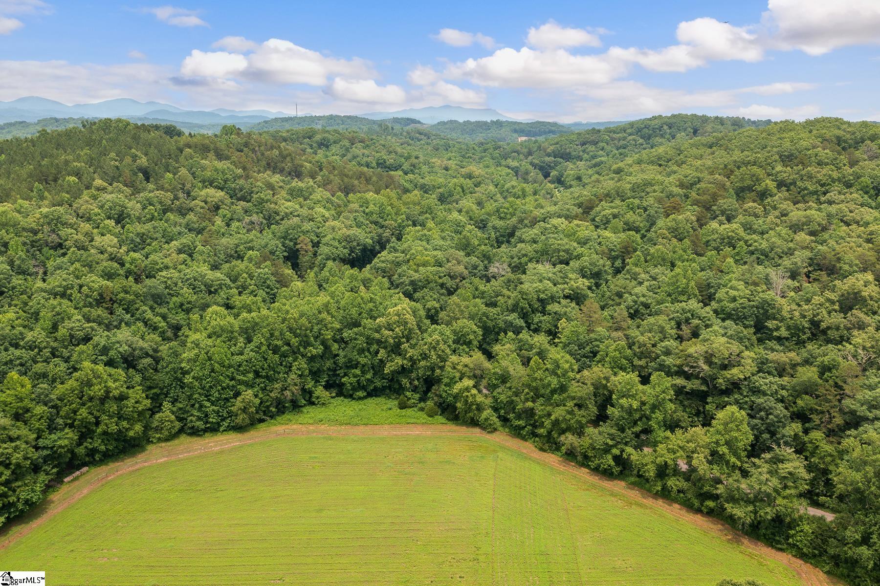 270 Long Shoals Road Marietta, SC 29661 - Photo 13 of 15 Gallery Image 13