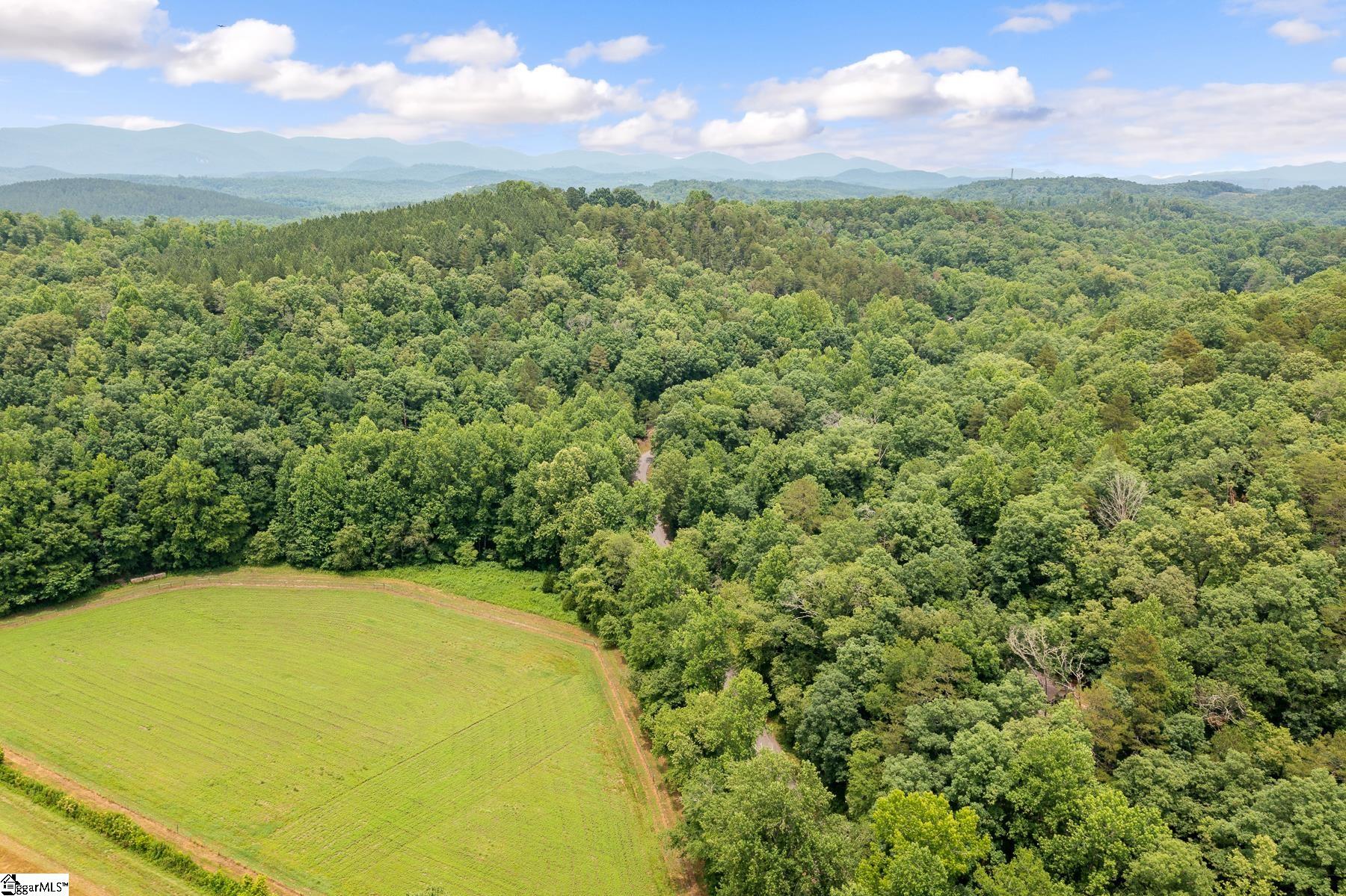 270 Long Shoals Road Marietta, SC 29661 - Photo 14 of 15 Gallery Image 14