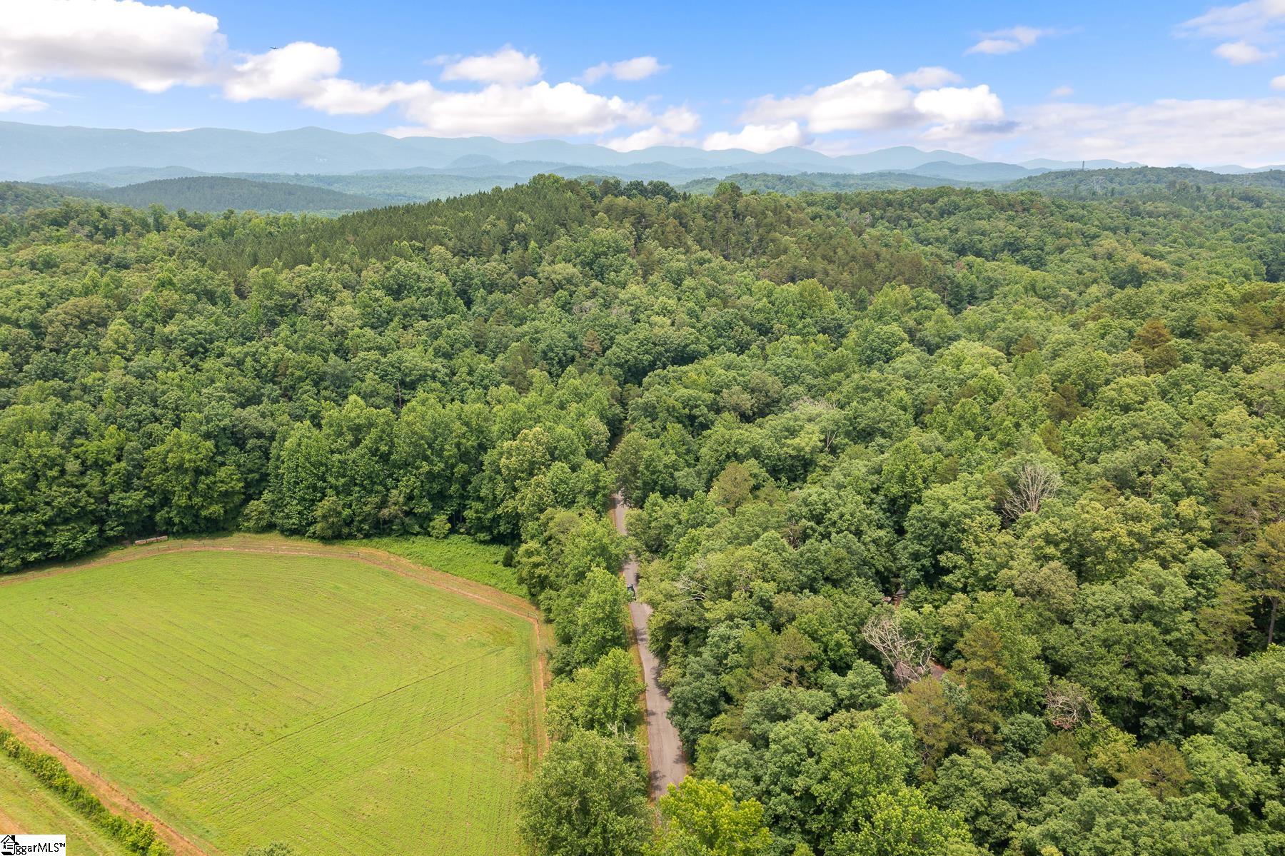 270 Long Shoals Road Marietta, SC 29661 - Photo 15 of 15 Gallery Image 15
