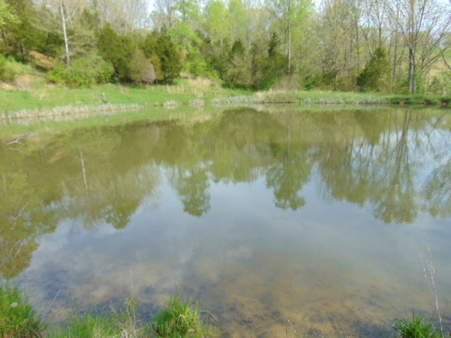 Cull Road Worthville, KY 41098 - Photo 7 of 29 Gallery Image 7