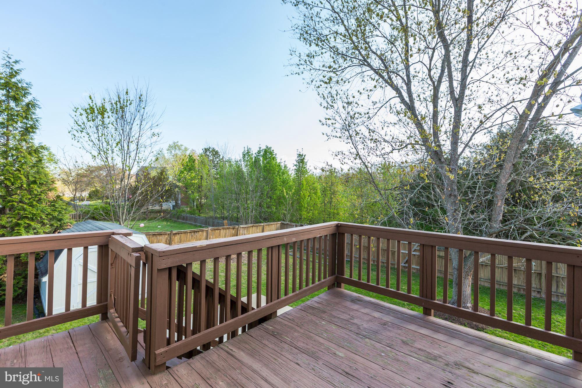 4361 Cub Run Road Chantilly, VA 20151 - Photo 38 of 41 Private back yard~ backs to Parkland