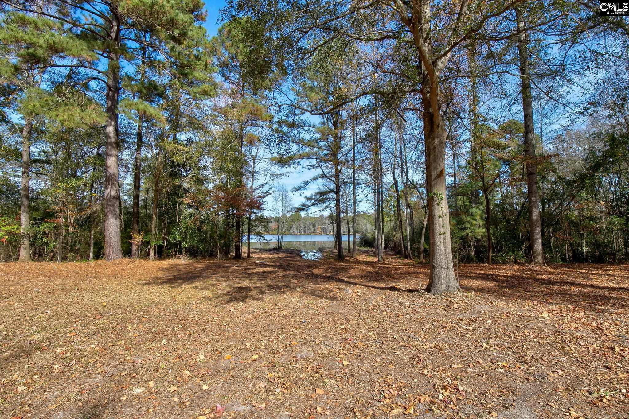 42 Brookwood Road Camden, SC 29020 - Photo 49 of 61