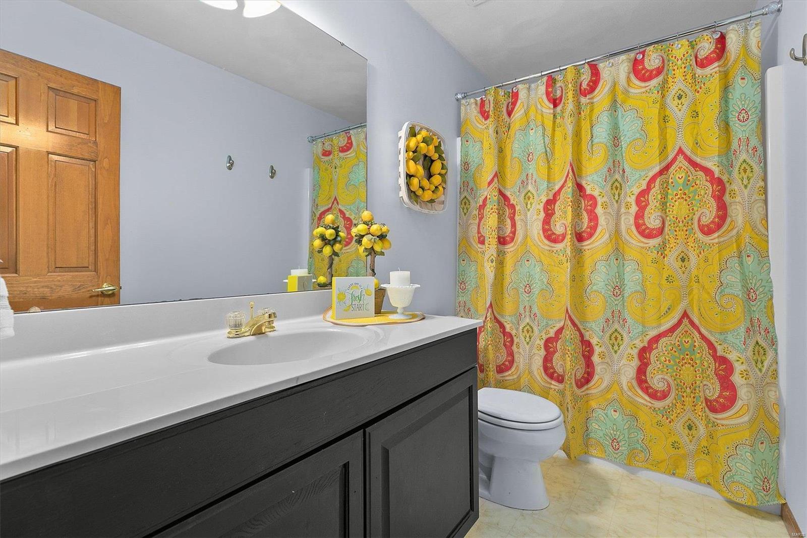 113 Summerlin Ridge O'Fallon, IL 62269 - Photo 38 of 59