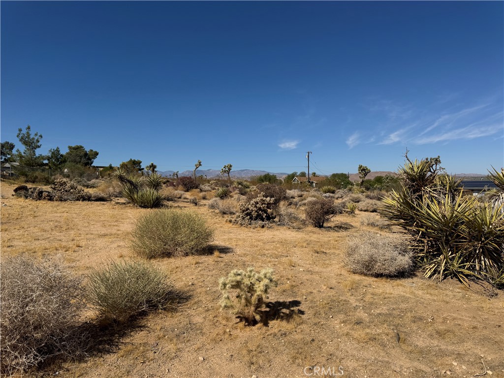7218 Juniper Road Joshua Tree, CA 92252 - Photo 4 of 4