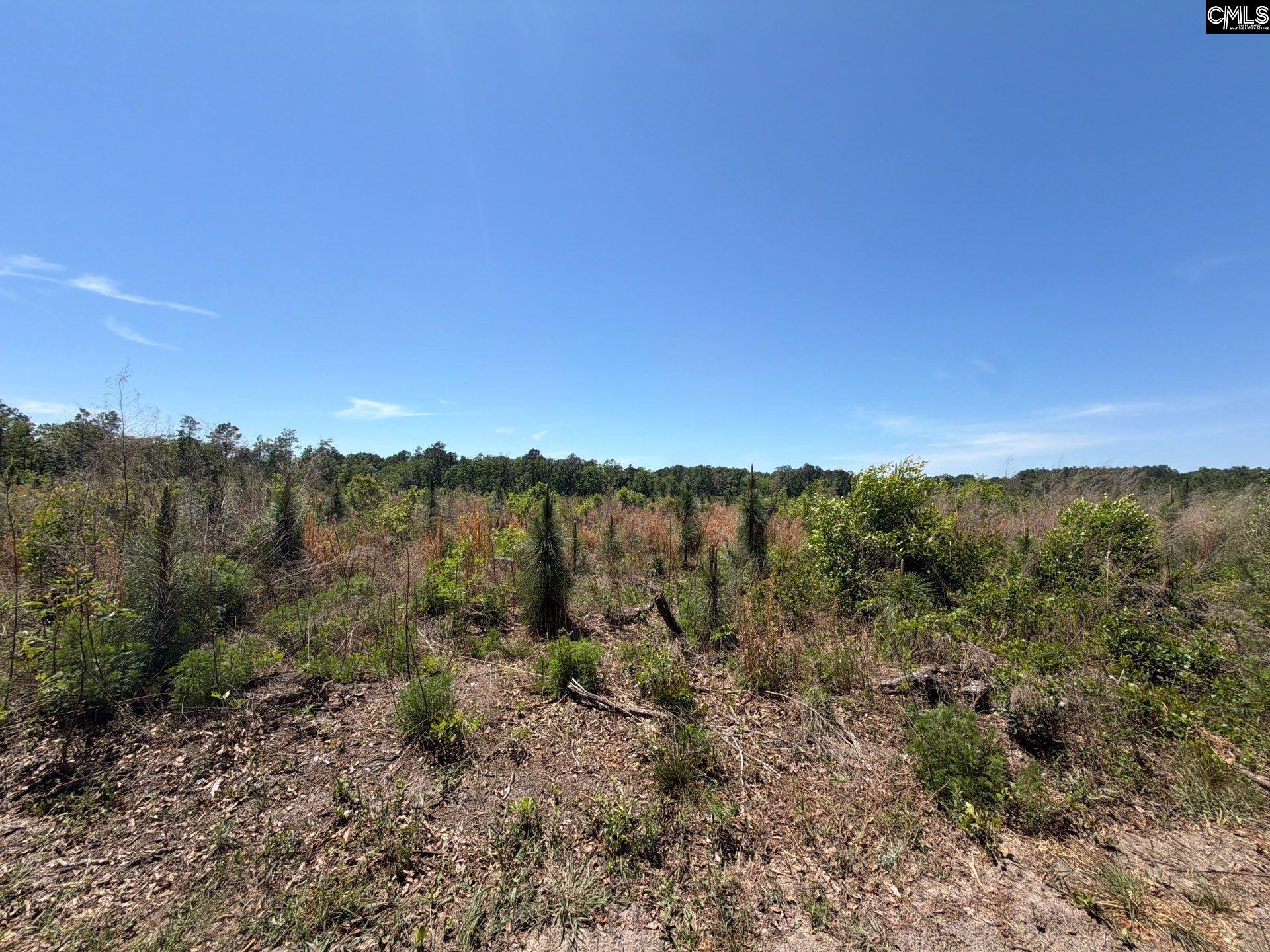 3 Holstein Road Monetta, SC 29105 - Photo 17 of 17
