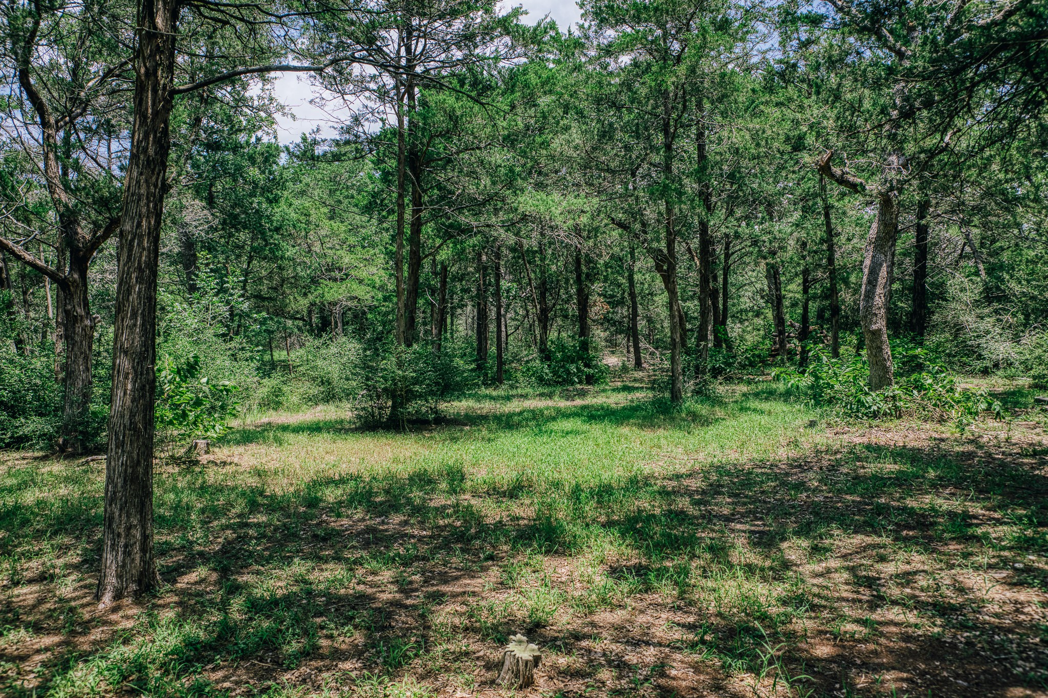 3301 Round Top Road Round Top, TX 78954 - Photo 11 of 21