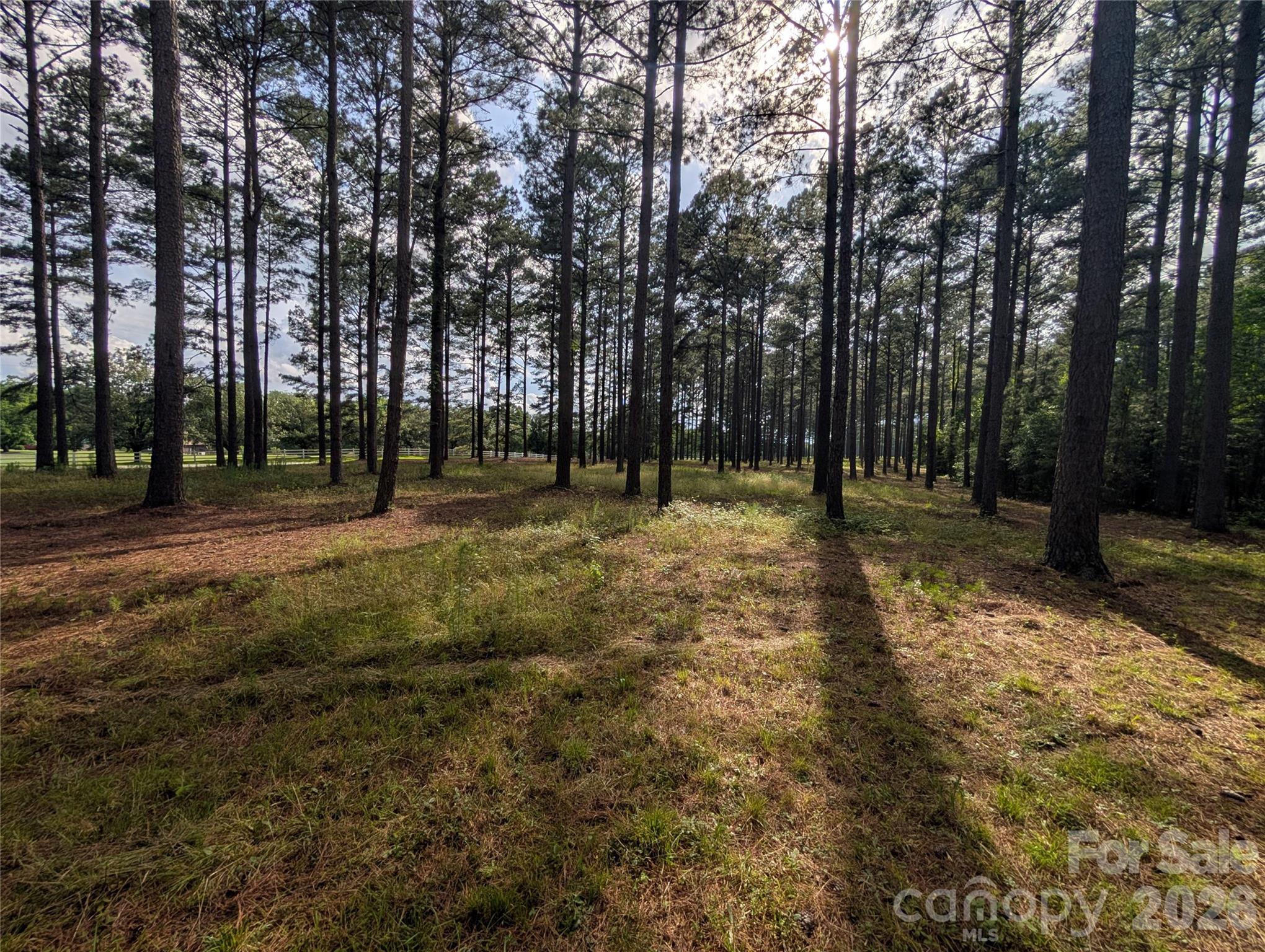 0 Blessed Hope Road, Unit 3 York, SC 29745 - Photo 2 of 5