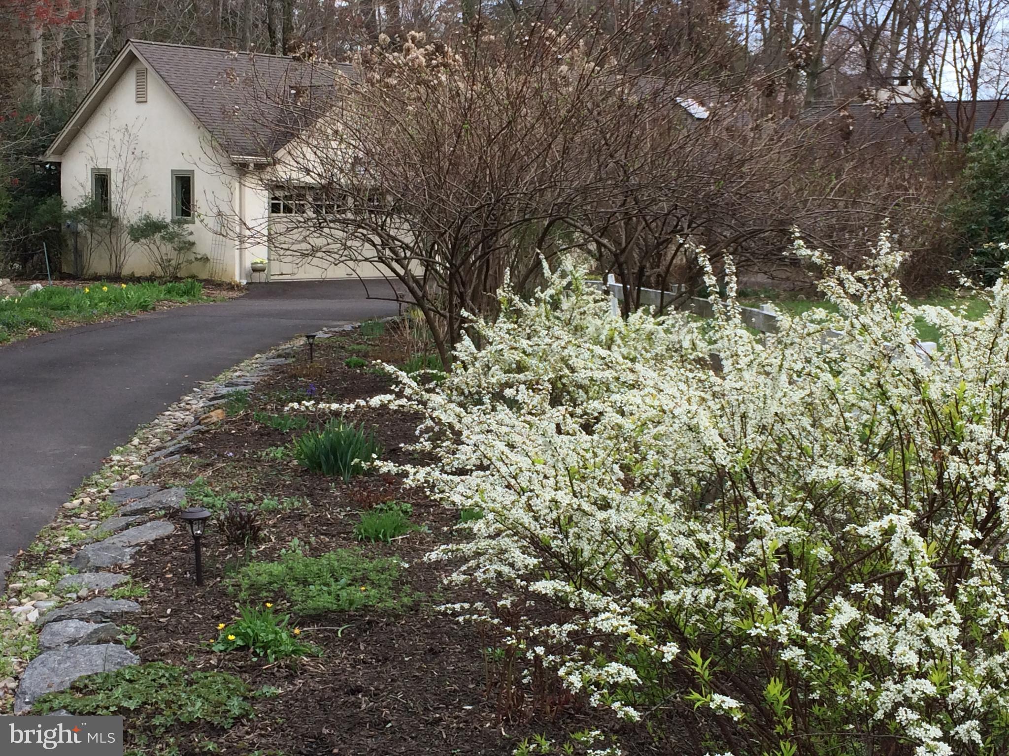 3625 Edencroft Road Huntingdon Valley, PA 19006 - Photo 50 of 55 Foundation Plantings