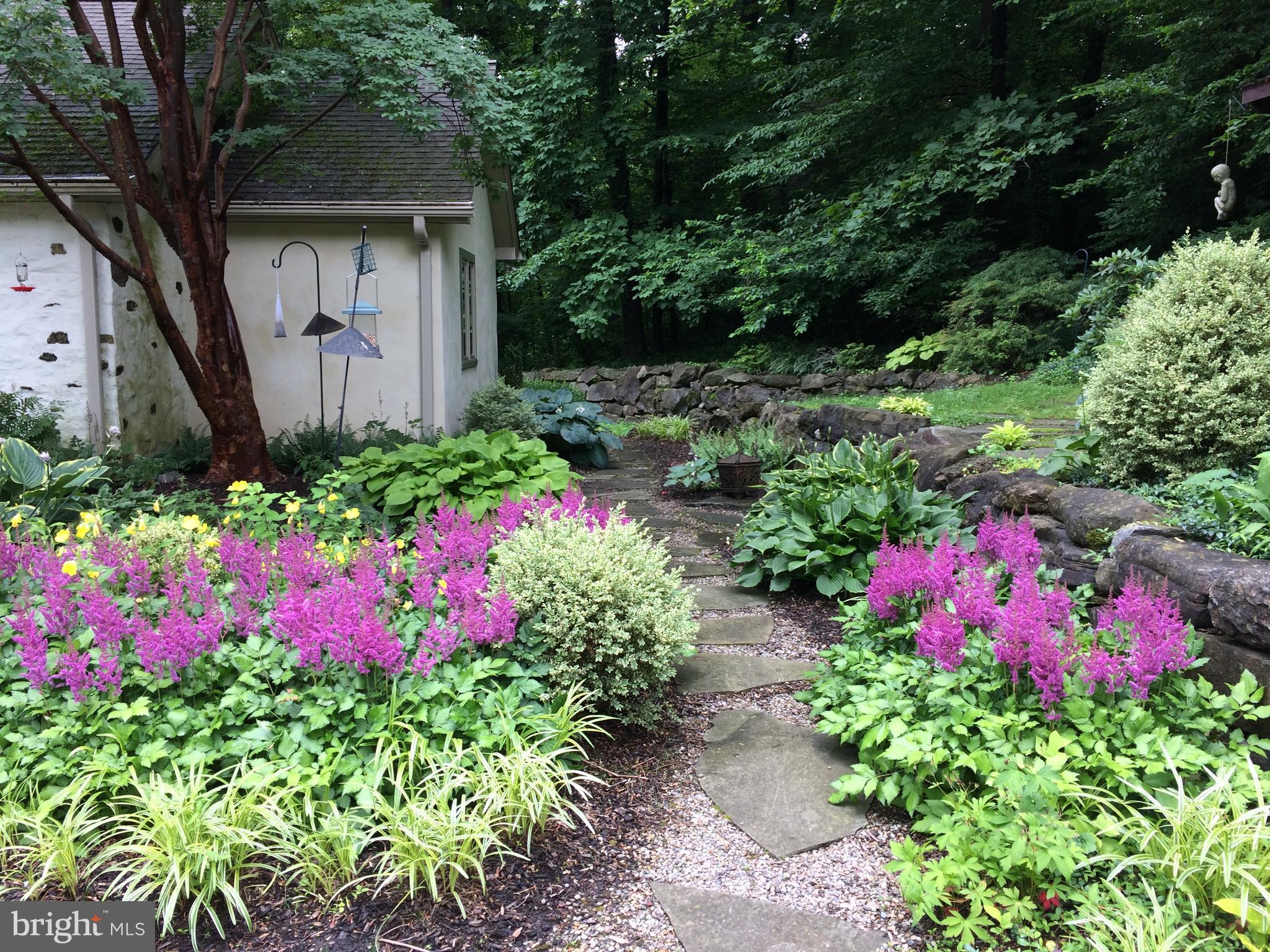 3625 Edencroft Road Huntingdon Valley, PA 19006 - Photo 6 of 55 Path in Bloom