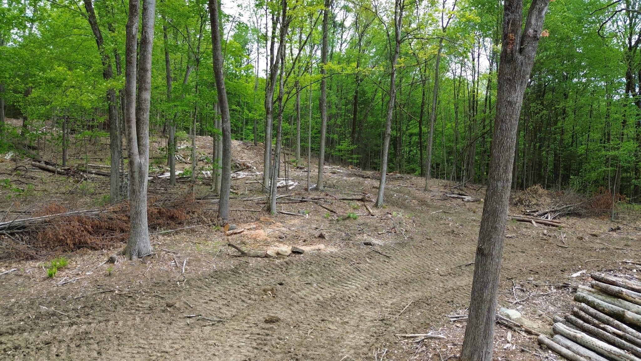 Lot 26-4 Plain Road Hinsdale, NH 03451 - Photo 7 of 28