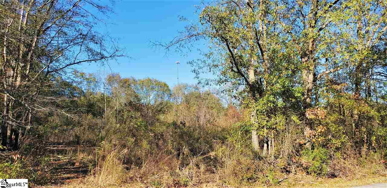 0 Pepper Road, Unit TRACT B Easley, SC 29642 - Photo 2 of 3