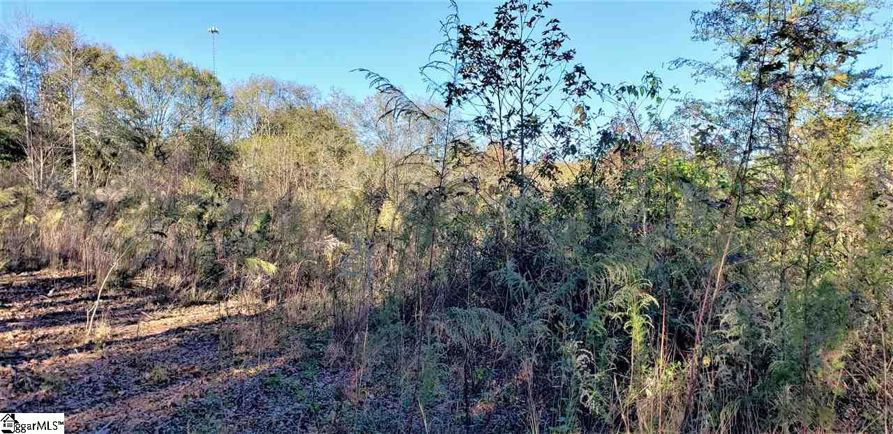 0 Pepper Road, Unit TRACT B Easley, SC 29642 - Photo 3 of 3