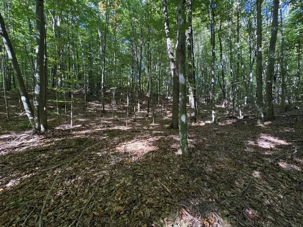 $84,900 | N12175 Bear Cave Road, Silver Cliff, WI 54104