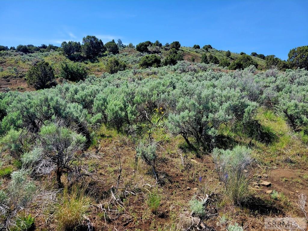 L17-b5 Outlaw Pass Menan, ID 83434 - Photo 9 of 21