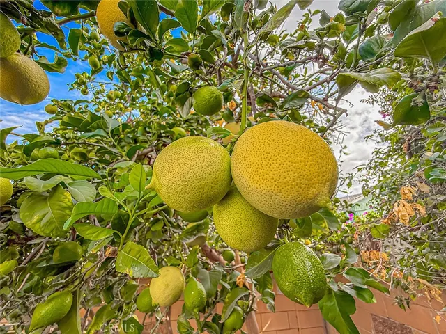 $4,250 | 2136 Denny Street, Simi Valley, CA 93065