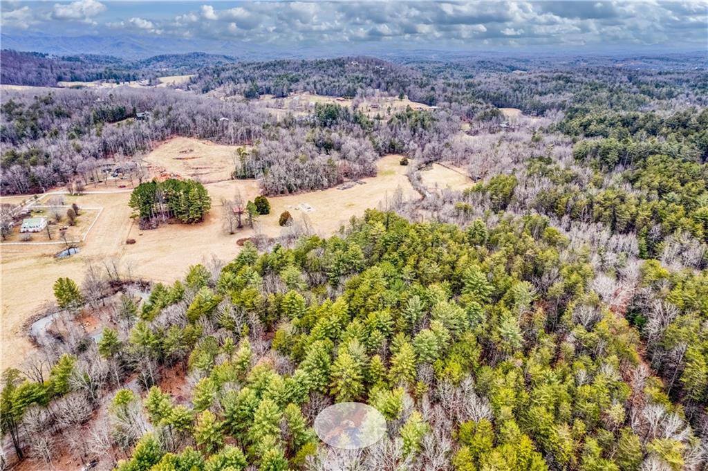357 Mystic Lane Blue Ridge, GA 30513 - Photo 57 of 58