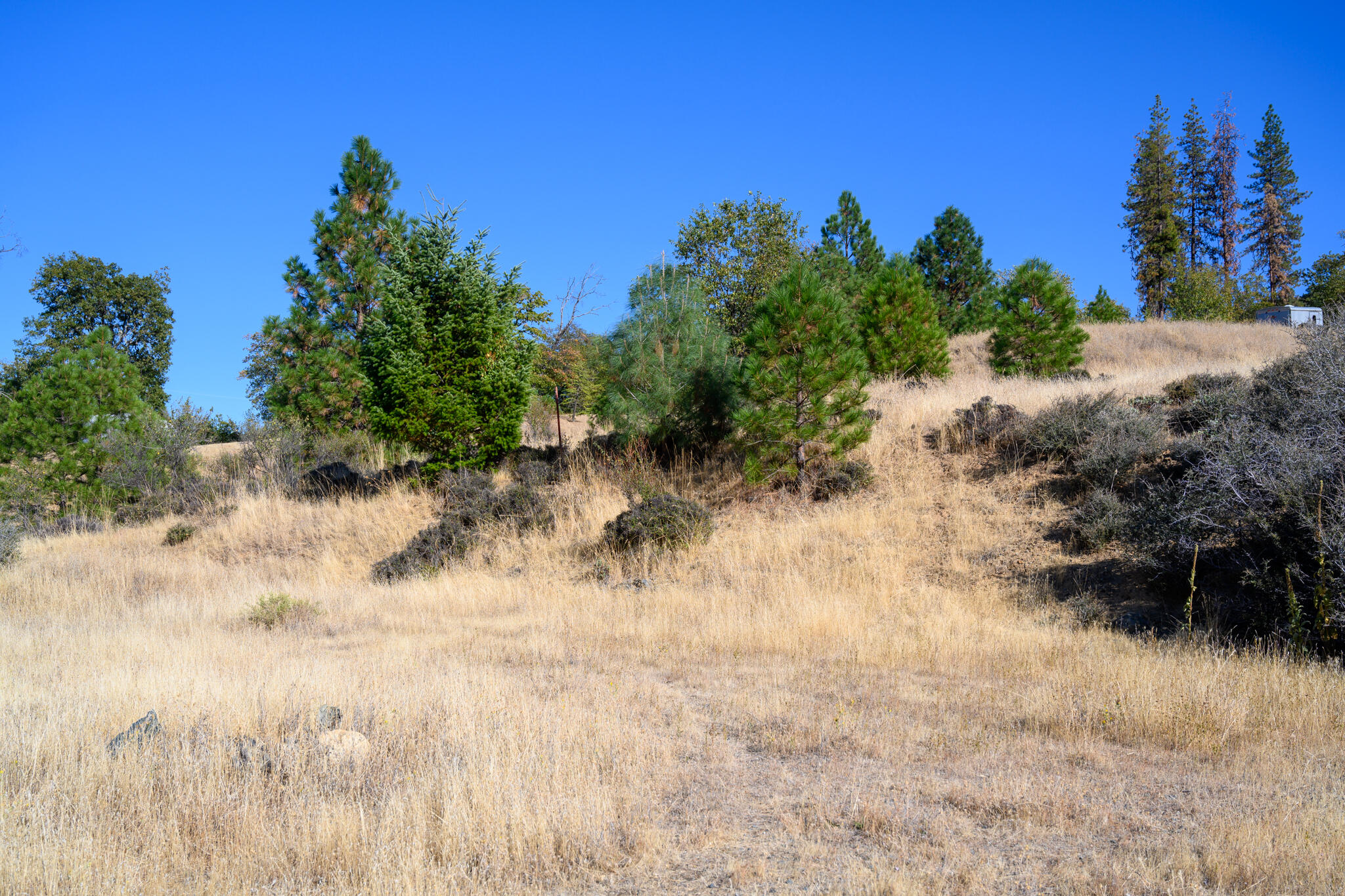 140 Lockhart Ranch Road Lewiston, CA 96052 - Photo 1 of 25 Building Pad