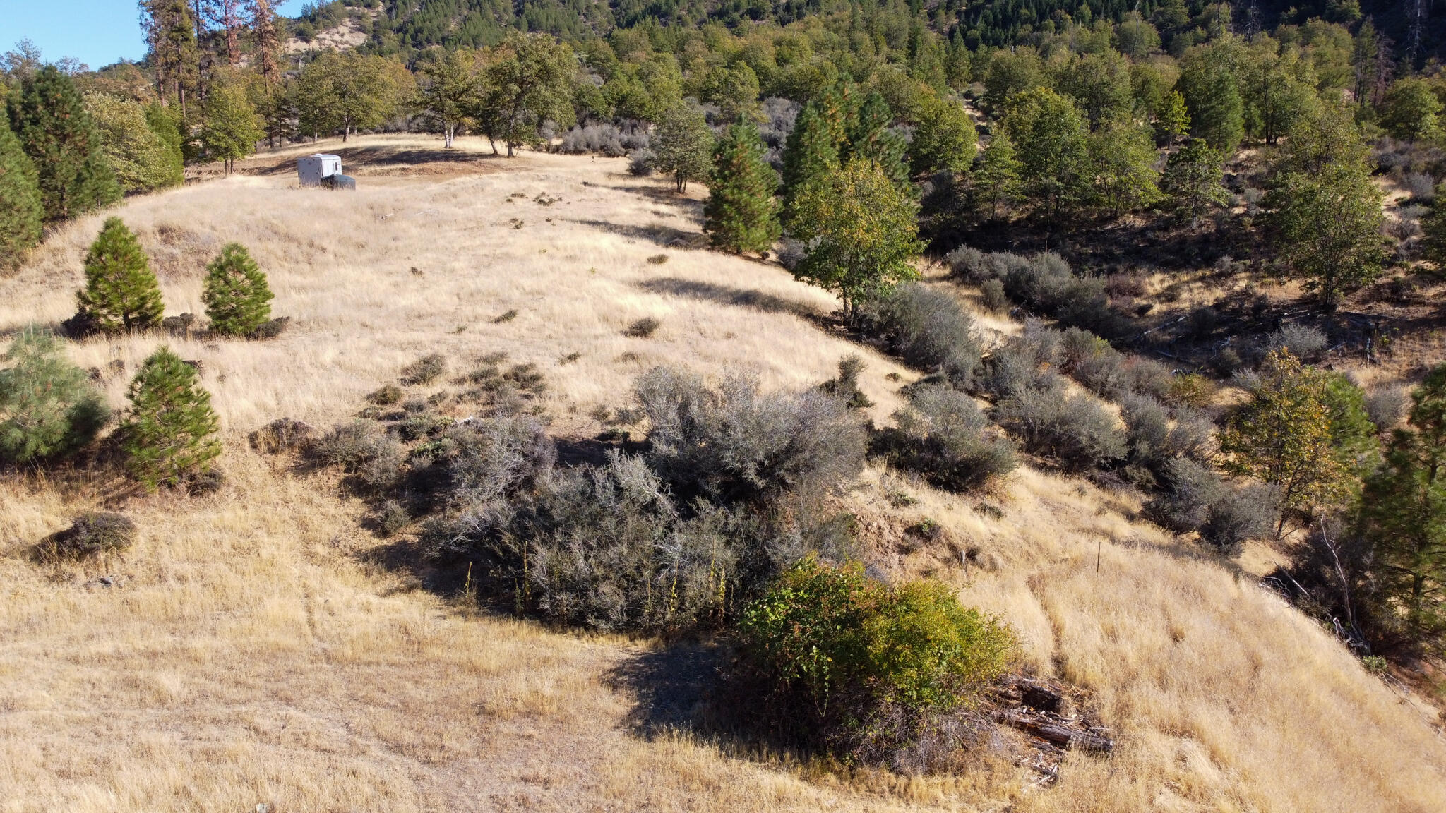 140 Lockhart Ranch Road Lewiston, CA 96052 - Photo 11 of 25 Ridge