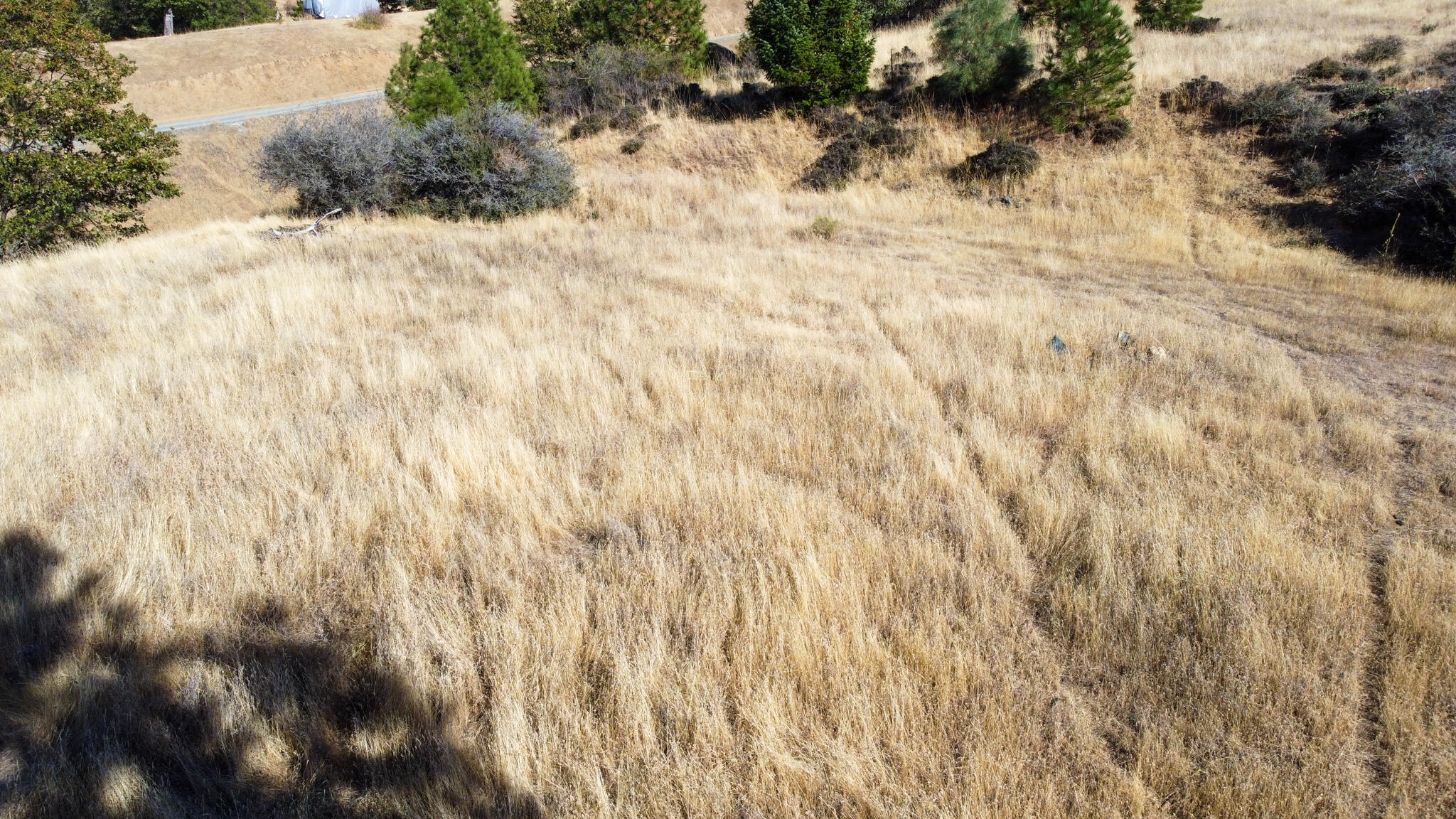 140 Lockhart Ranch Road Lewiston, CA 96052 - Photo 13 of 25 Flat