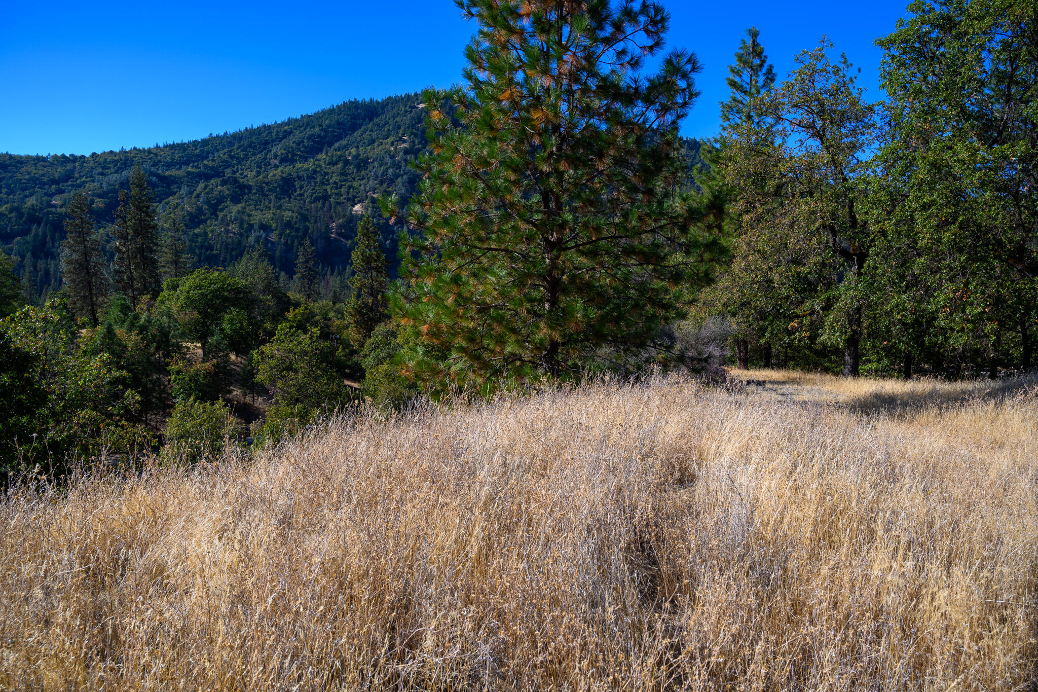 140 Lockhart Ranch Road Lewiston, CA 96052 - Photo 14 of 25 Views
