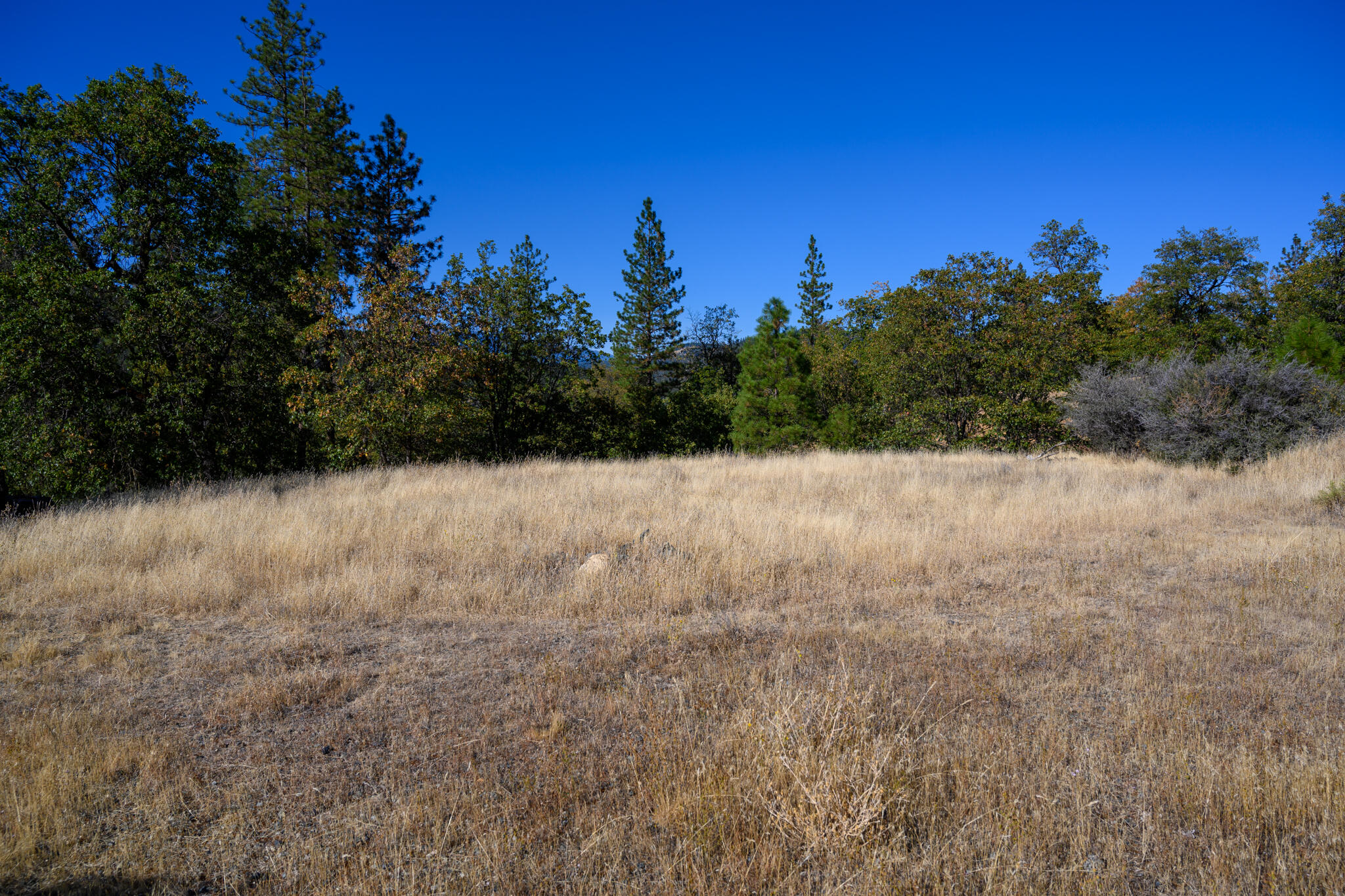 140 Lockhart Ranch Road Lewiston, CA 96052 - Photo 15 of 25 Views