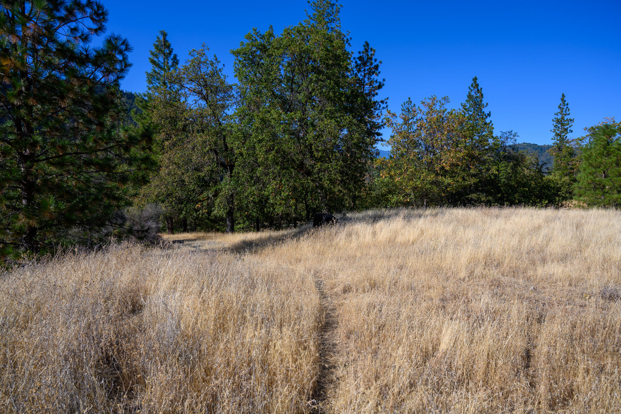 140 Lockhart Ranch Road Lewiston, CA 96052 - Photo 16 of 25 Views