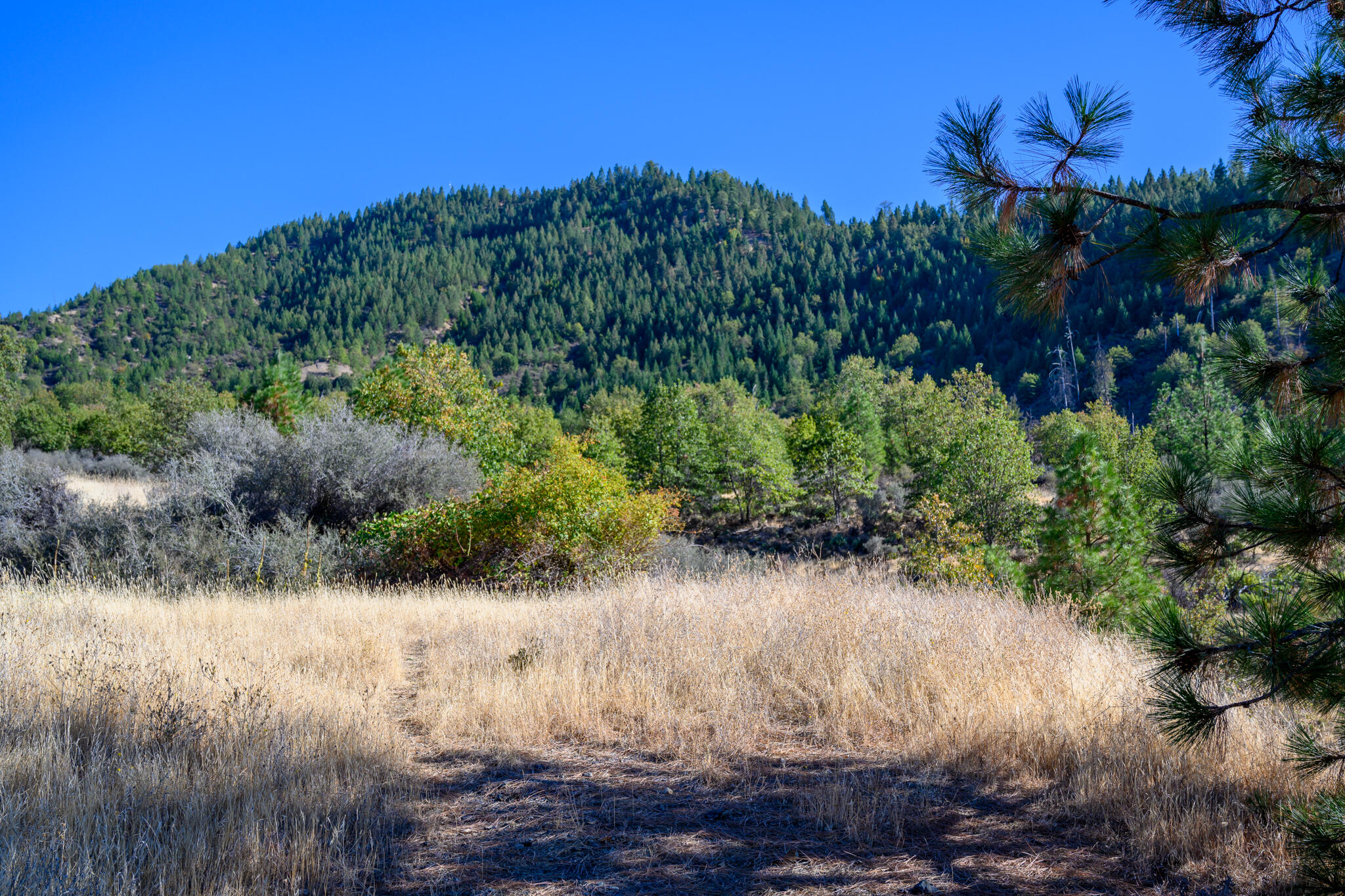 140 Lockhart Ranch Road Lewiston, CA 96052 - Photo 18 of 25 Viewa