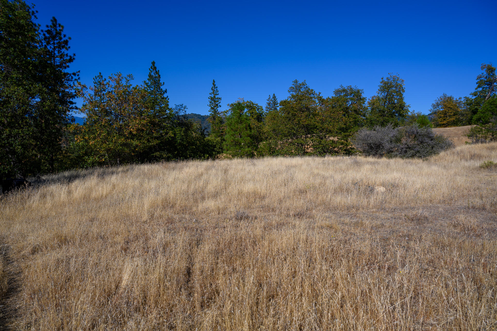 140 Lockhart Ranch Road Lewiston, CA 96052 - Photo 19 of 25 Building Pad