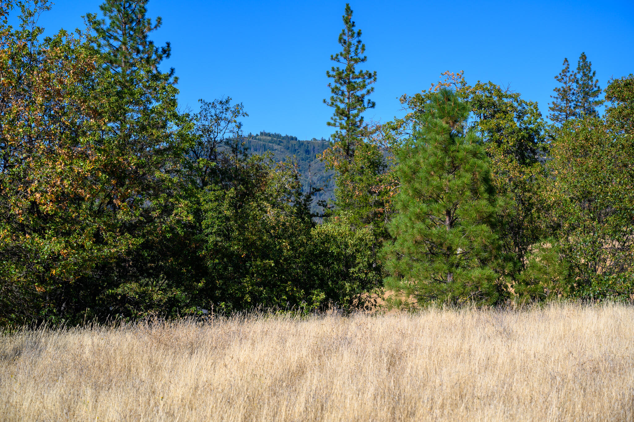 140 Lockhart Ranch Road Lewiston, CA 96052 - Photo 20 of 25 Views
