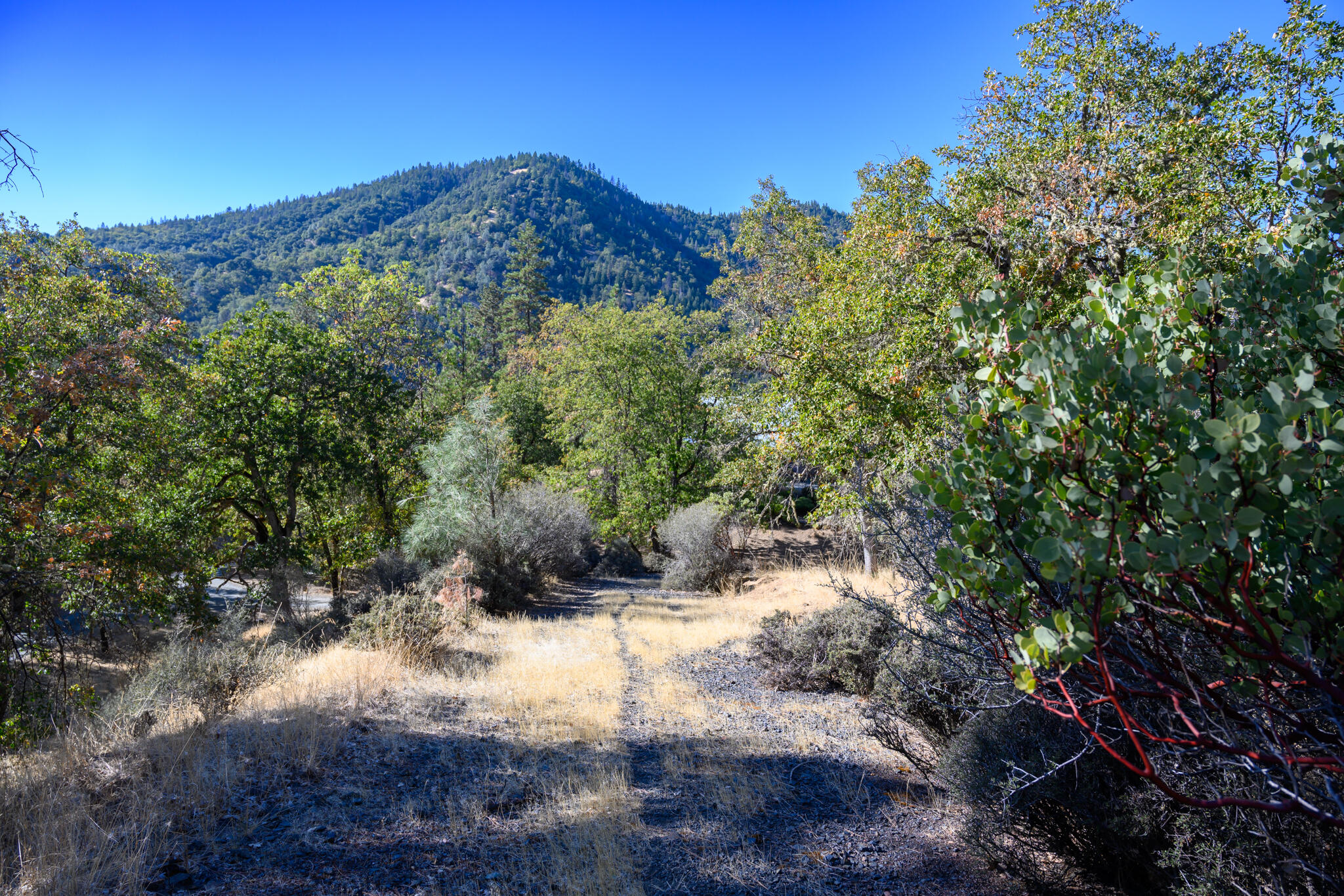 140 Lockhart Ranch Road Lewiston, CA 96052 - Photo 23 of 25 Access Drive & Views
